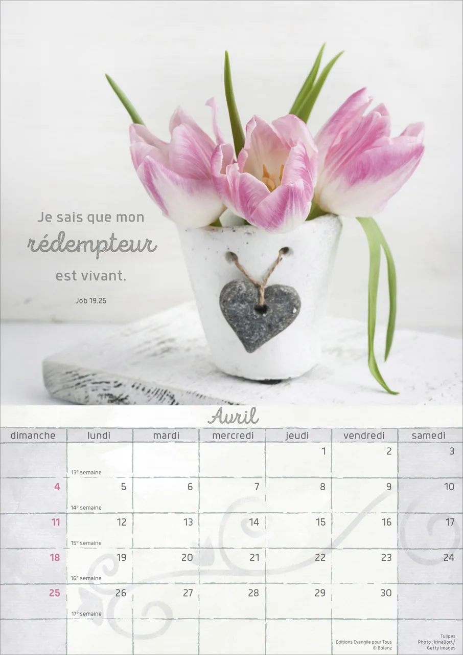 CAL MOMENTS DE JOIE POSTERS A4