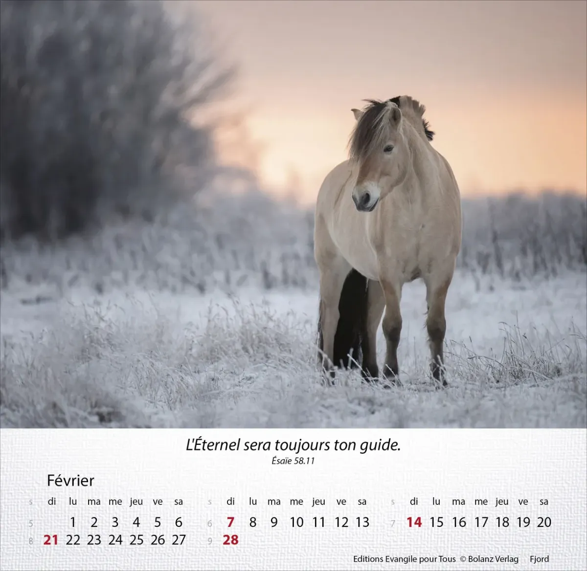 CAL CHEVAUX  MERVEILLES DE LA CREATION