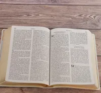 Bible Segond NEG gros caractères - blanche