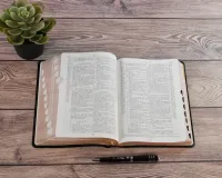 Bible d'étude Segond NEG Scofield - fibrocuir noir tranche or onglets - Nouvelle édition
