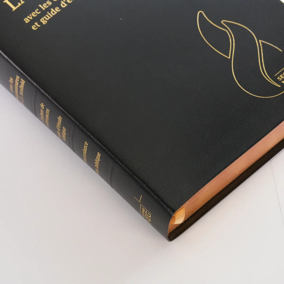 Bible d'étude Segond NEG Scofield - fibrocuir noir tranche or onglets - Nouvelle édition