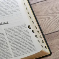 Bible d'étude Segond NEG Scofield - fibrocuir noir tranche or onglets - Nouvelle édition