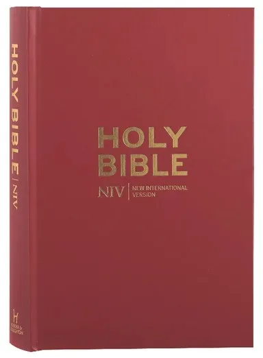 Anglais, Bible NIV - bordeaux