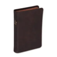Bible Darby édition de Rolle, format moyen, cuir brun souple, tranche dorée
