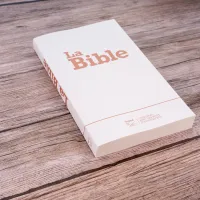 Bible Segond 21 brochée