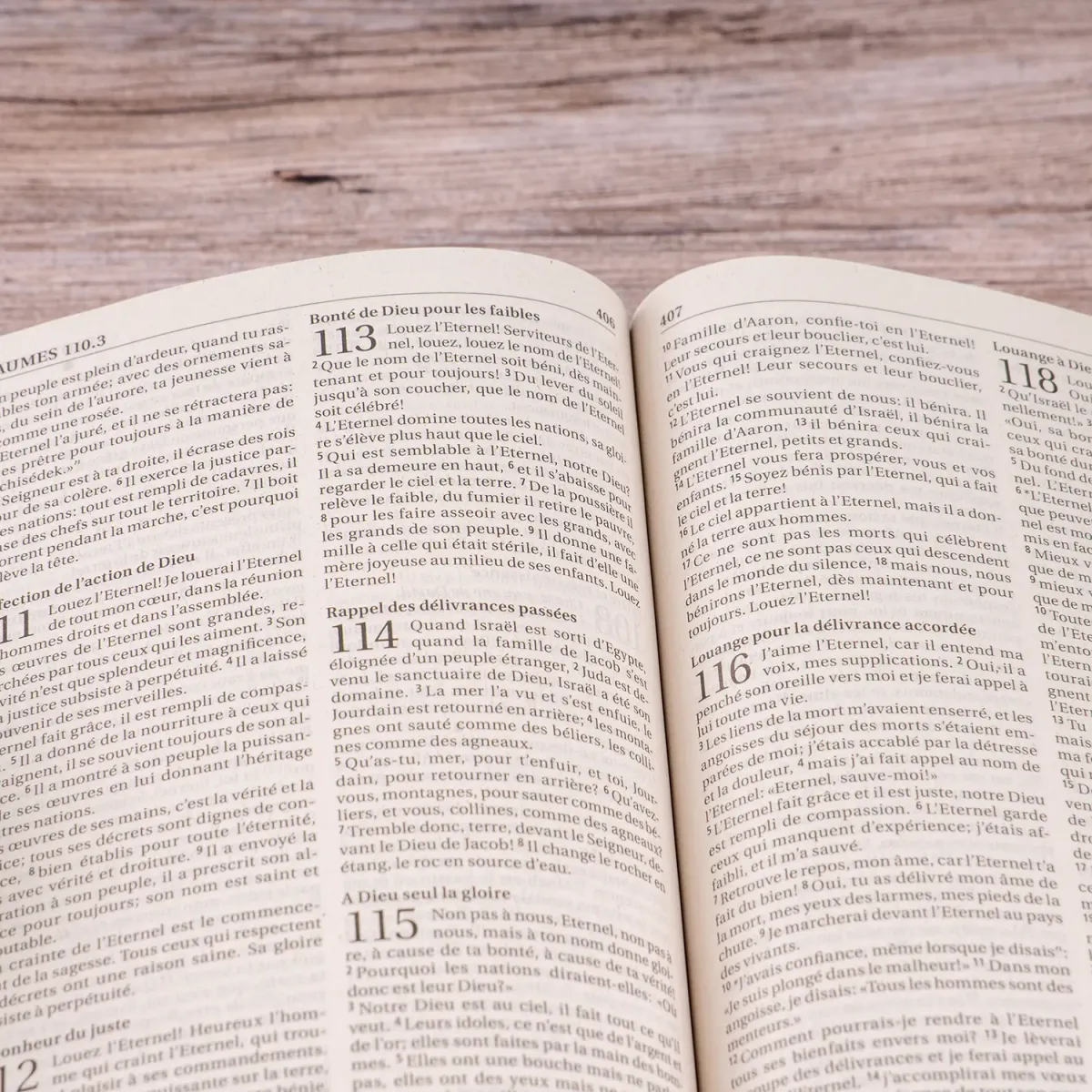 Bible Segond 21 brochée