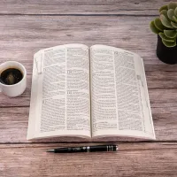 Bible Segond 21 brochée