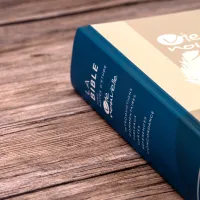 Bible Segond 21 Vie Nouvelle - couverture rigide illustrée