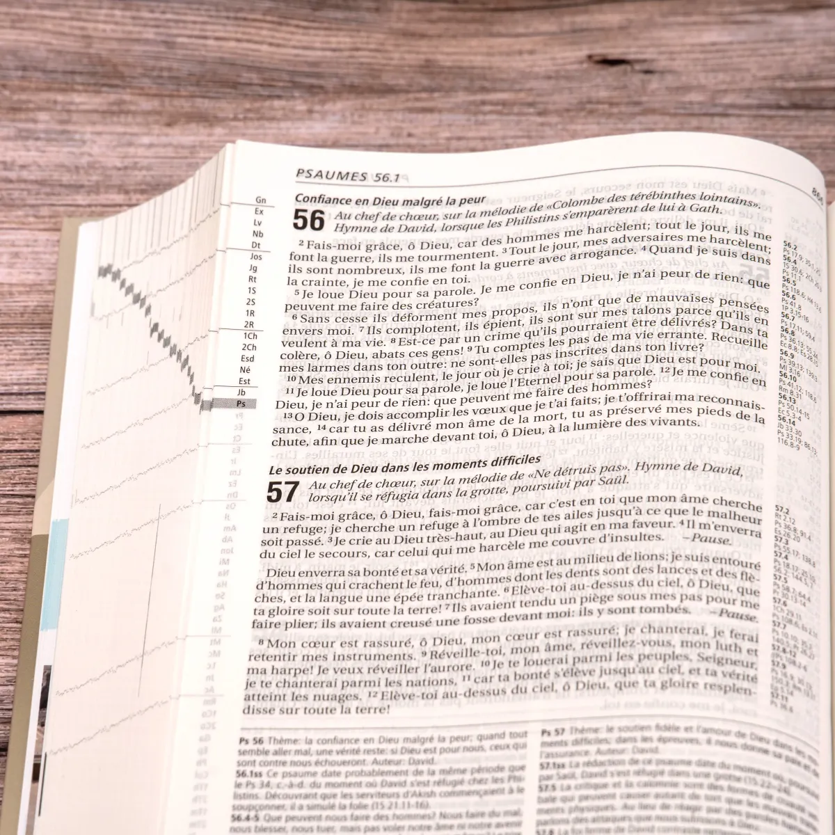 Bible Segond 21 Vie Nouvelle - couverture rigide illustrée