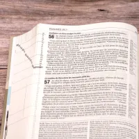 Bible Segond 21 Vie Nouvelle - couverture rigide illustrée