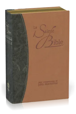 Bible NEG MacArthur - souple similicuir - tranche or duo bleu et beige