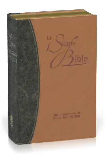 Bible NEG MacArthur - souple similicuir - tranche or duo bleu et beige