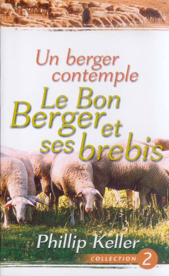 UN BERGER CONTEMPLE LE BON BERGER ET SES BREBIS