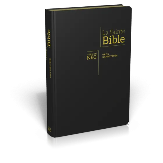 BIBLE NEG79, GROS CARACTERES, COUV. FIBROCUIR, TR. OR, ONGLETS