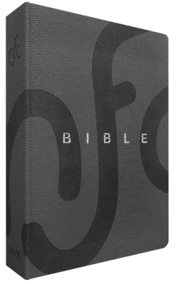 Bible Nouvelle Français courant - compact souple gris, tranche argentée