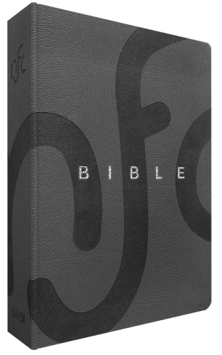 Bible Nouvelle Français courant - compact souple gris, tranche argentée