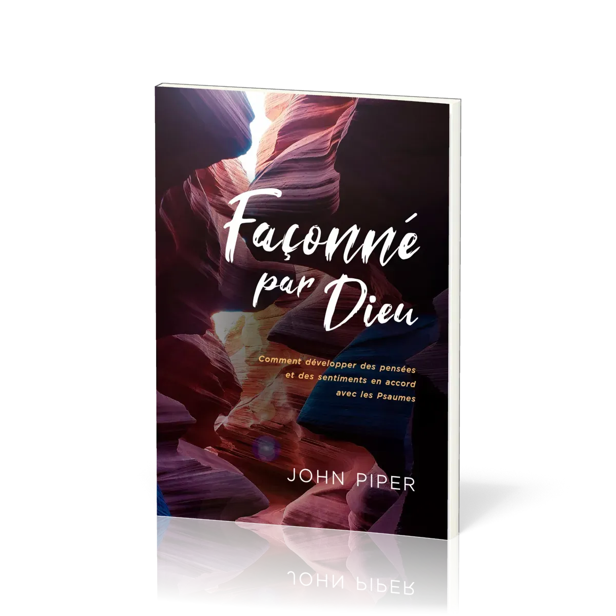 Façonné par Dieu... en accord avec les Psaumes