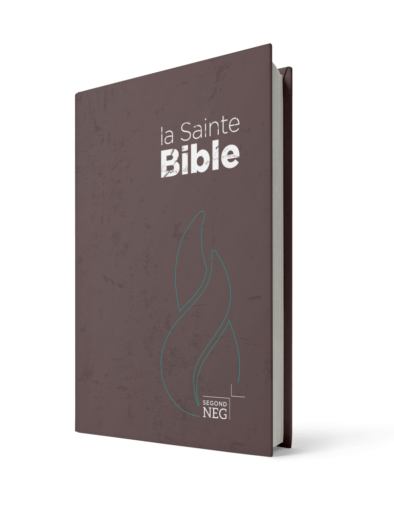 Bible NEG compact rigide brune (nouv. édition)