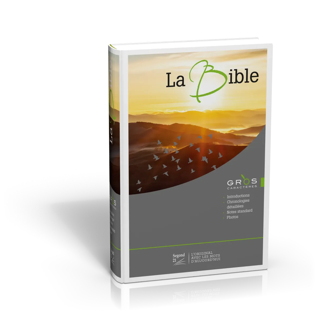 BIBLE SEGOND 21 A GROS CARACTERE ILLUSTREE RELIEE