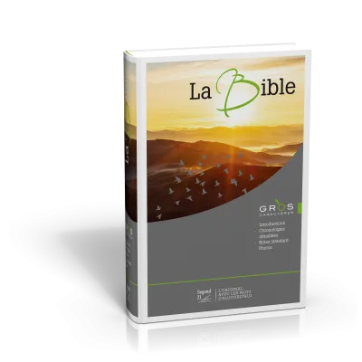 BIBLE SEGOND 21 A GROS CARACTERE ILLUSTREE RELIEE