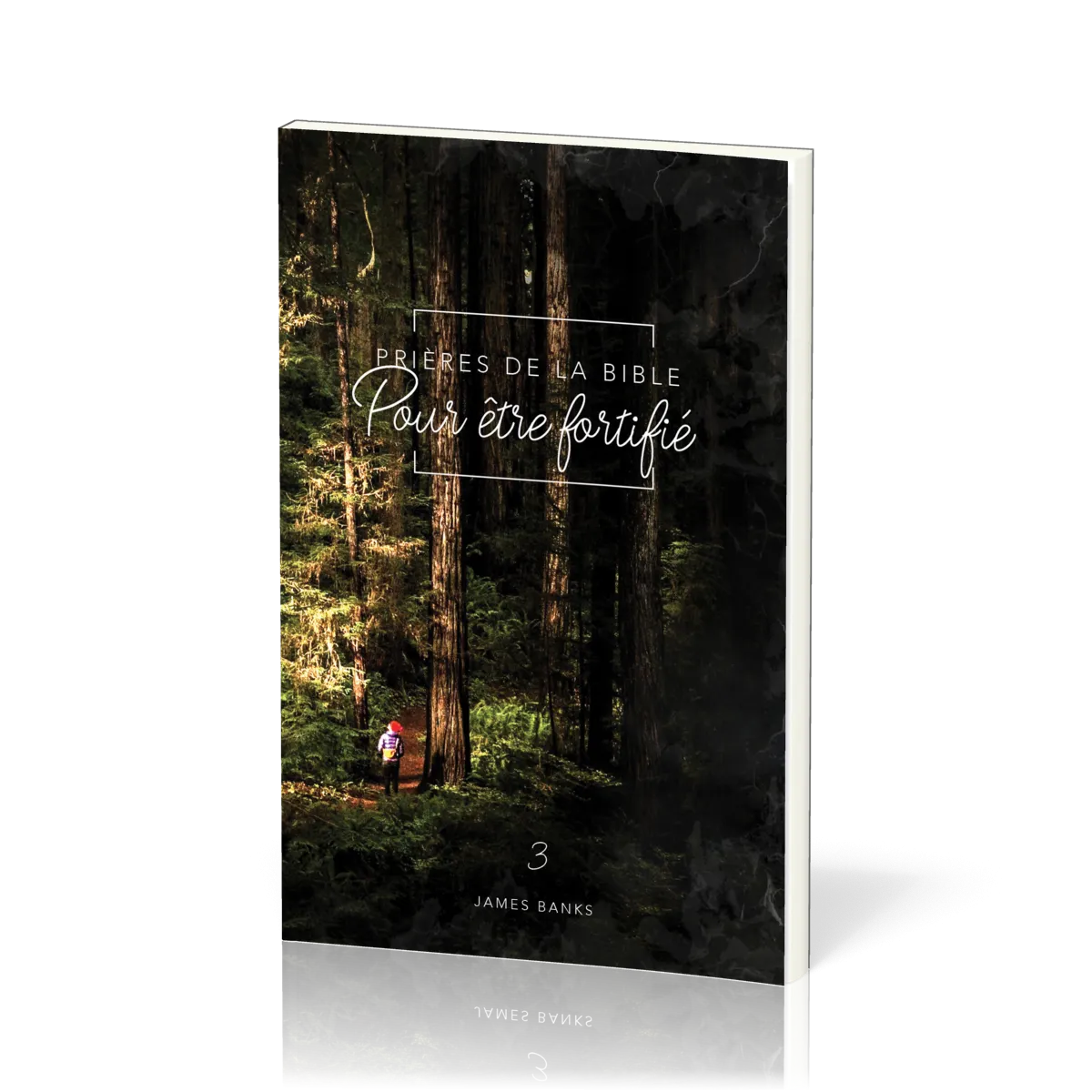 Prières de la Bible - Pour être fortifié - Vol.3 
 James Banks 