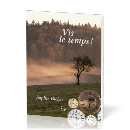 Vis le temps ! (épuisé)