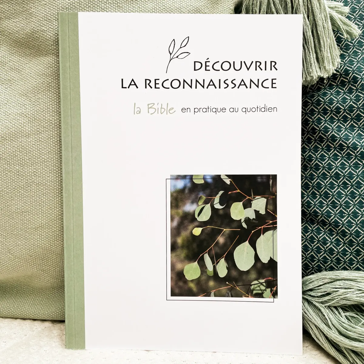Découvrir la reconnaissance - La Bible en pratique au quotidien