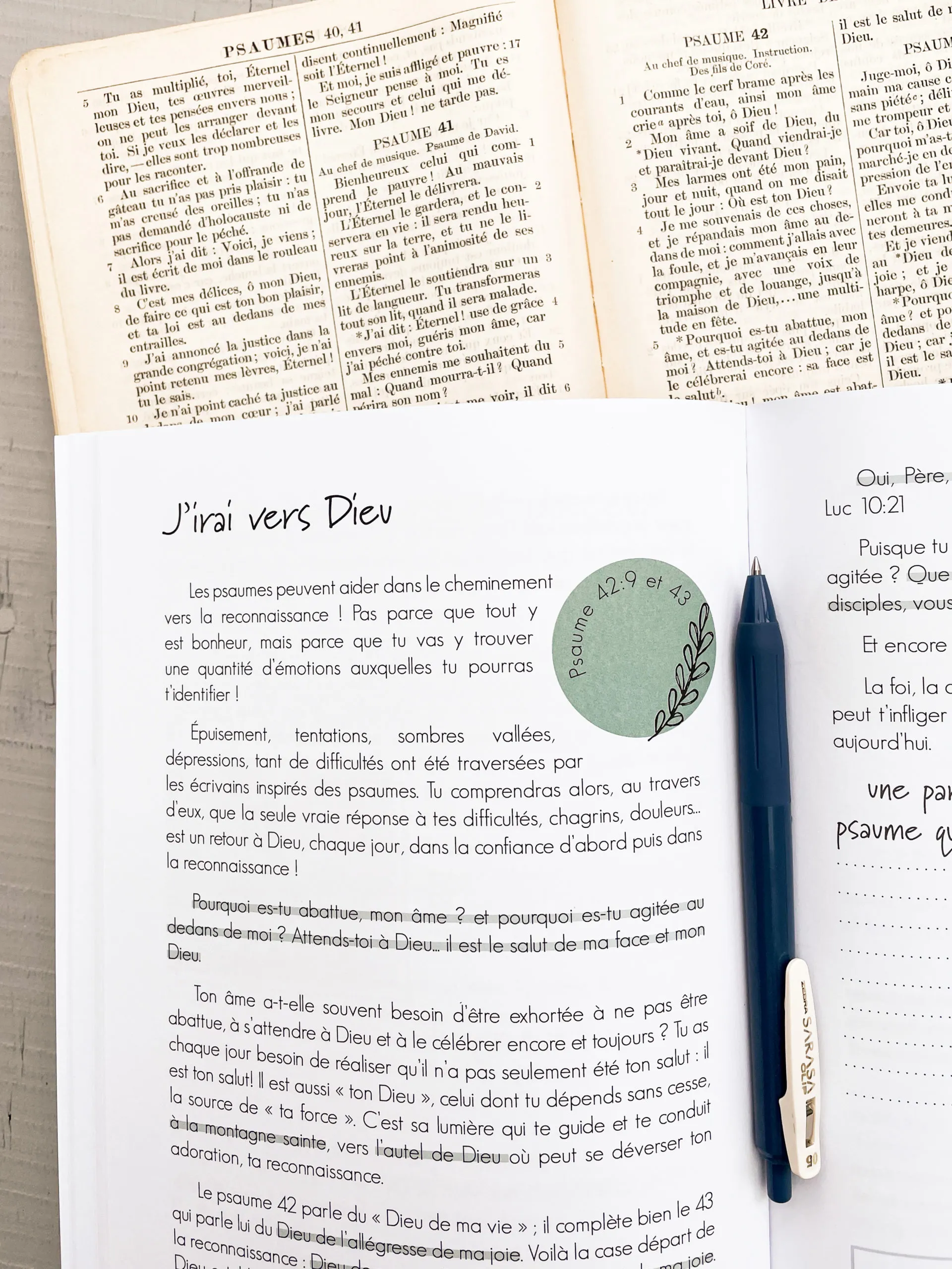 Découvrir la reconnaissance - La Bible en pratique au quotidien