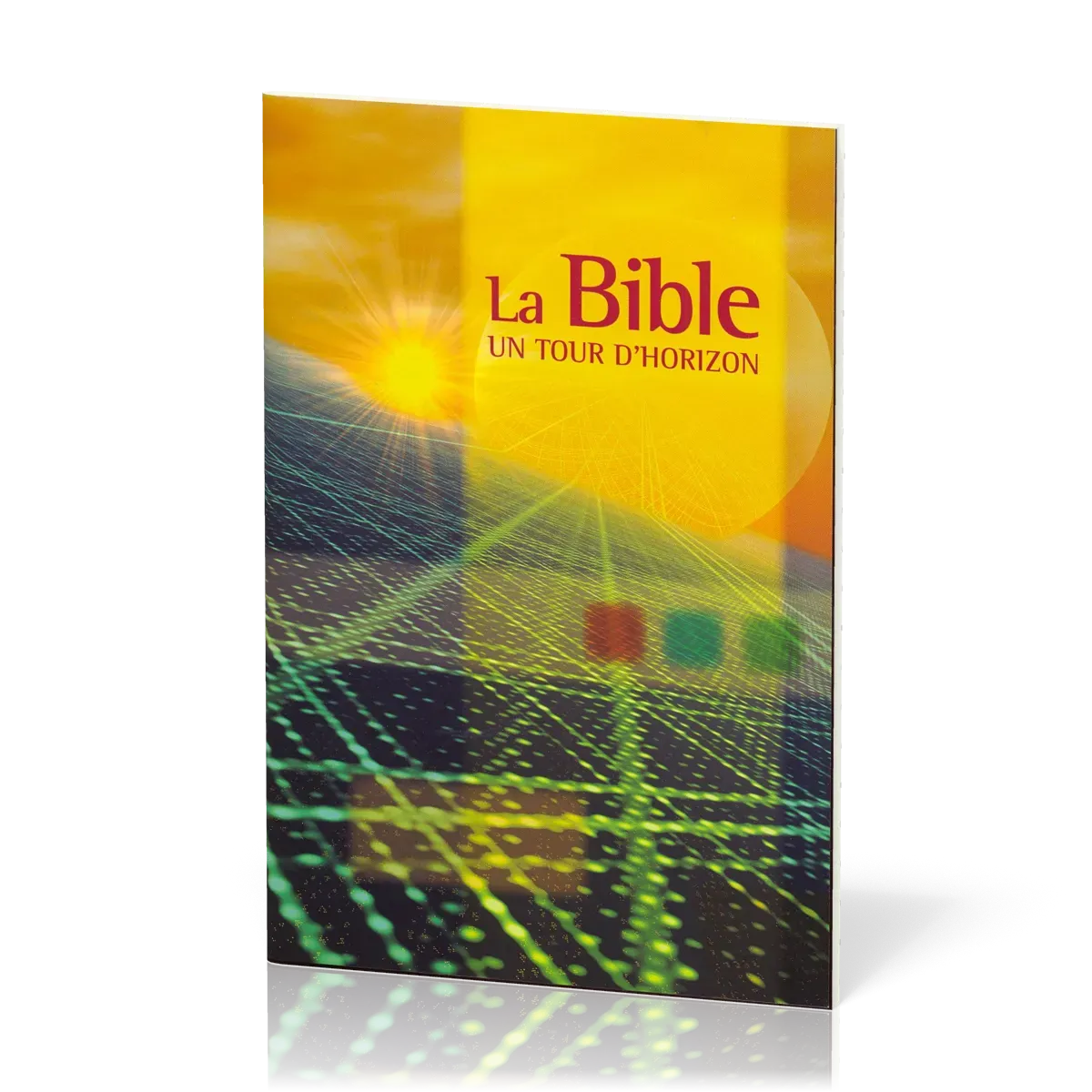 BIBLE UN TOUR D'HORIZON (LA)