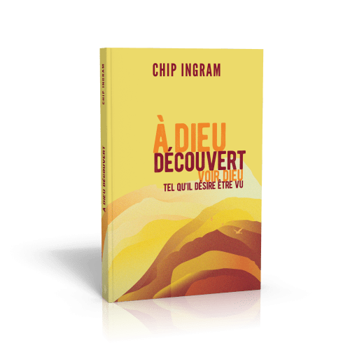 A Dieu découvert - Voir Dieu tel qu'il désire être vu