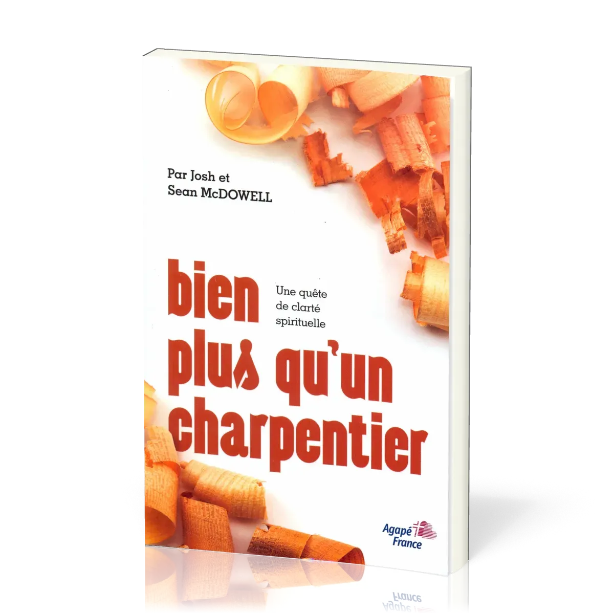 BIEN PLUS QU'UN CHARPENTIER - UNE QUETE DE CLARTE SPIRITUELLE