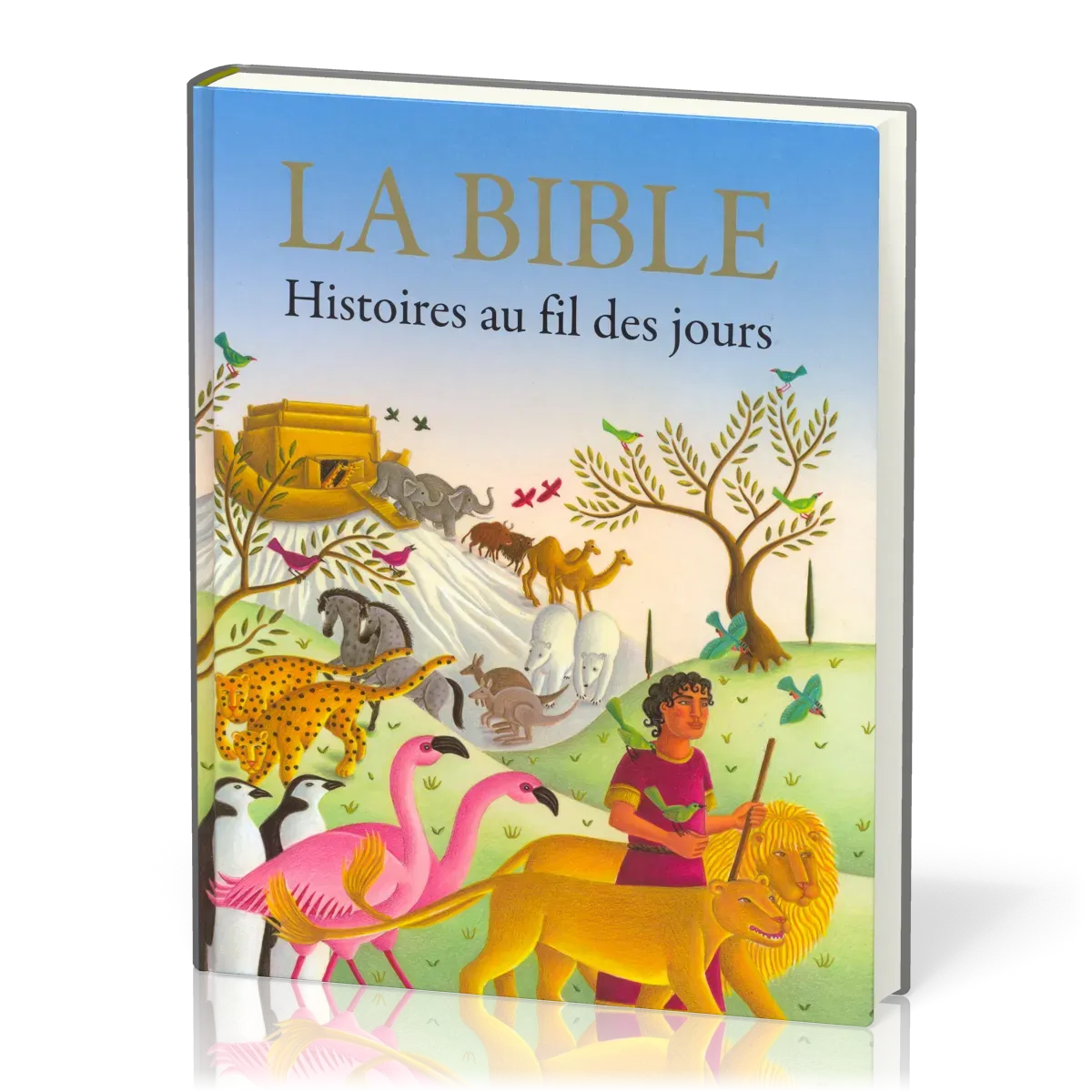 BIBLE HISTOIRES AU FIL DES JOURS (LA)