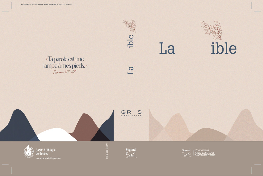 Bible Segond 21 gros caractères rigide toilée matelassée Soeur-Co